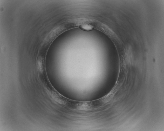 X0000069390074200605121222