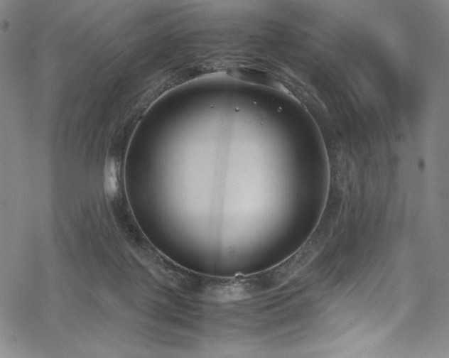 X0000069390075200605121222