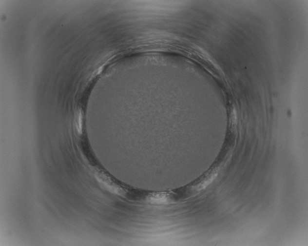 X0000069390076200605121222