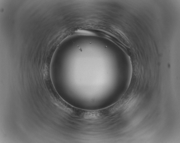 X0000069390077200605121222