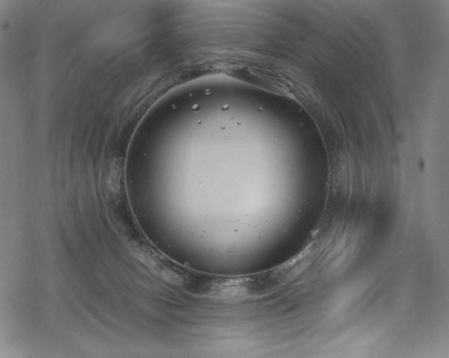 X0000069390078200605121222