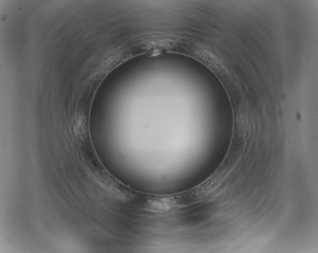 X0000069390079200605121222