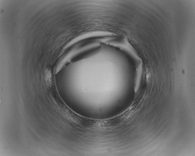 X0000069390080200605121222