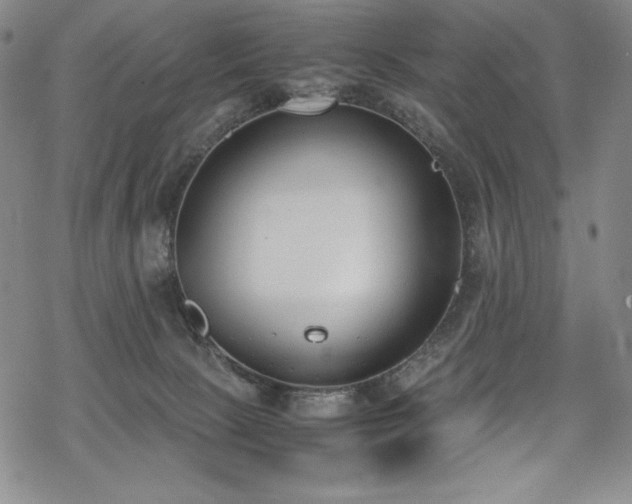 X0000069390081200605121222