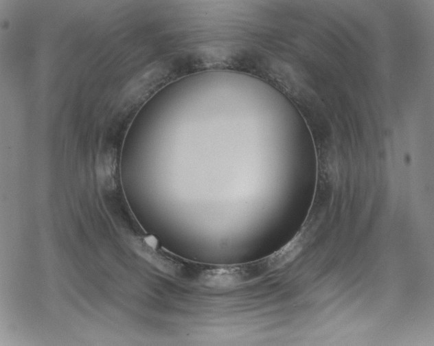 X0000069390082200605121222