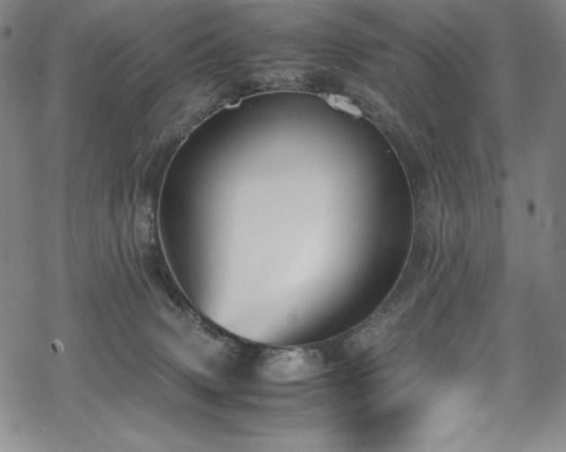 X0000069390083200605121222