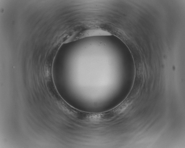 X0000069390084200605121222