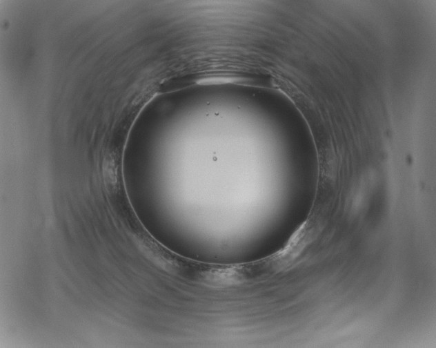 X0000069390086200605121222