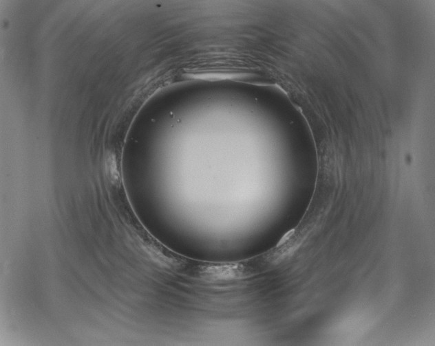 X0000069390089200605121222