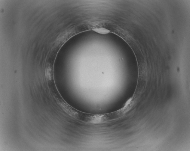 X0000069390090200605121222