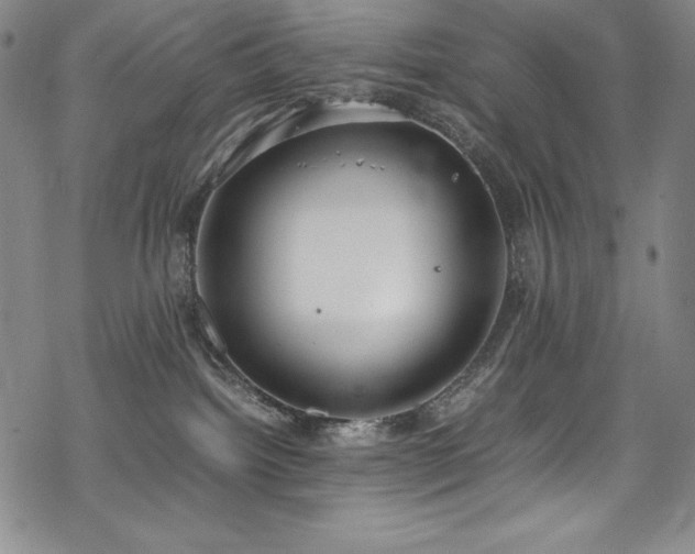 X0000069390092200605121222