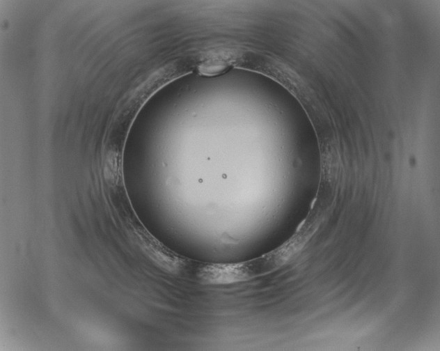 X0000069390093200605121222