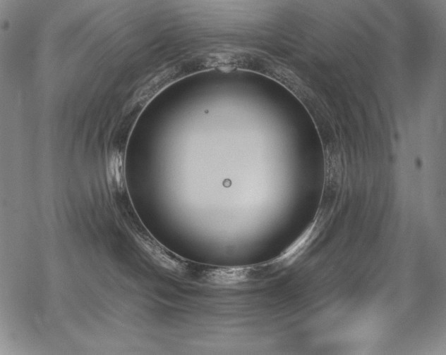 X0000069390094200605121222