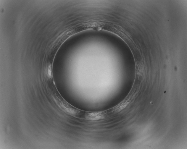 X0000069390095200605121222