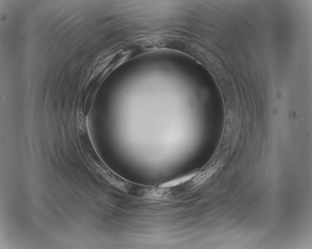 X0000069390096200605121222