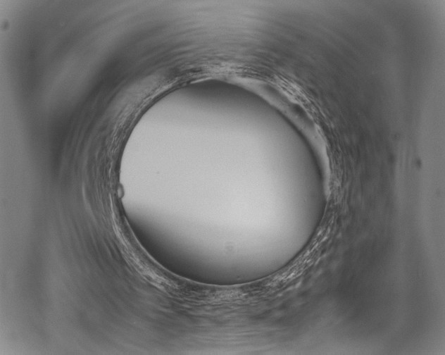 X0000069390097200605121221