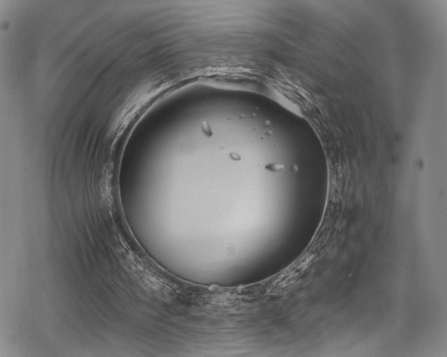 X0000069390098200605121221