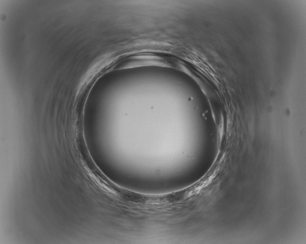 X0000069390101200605121221