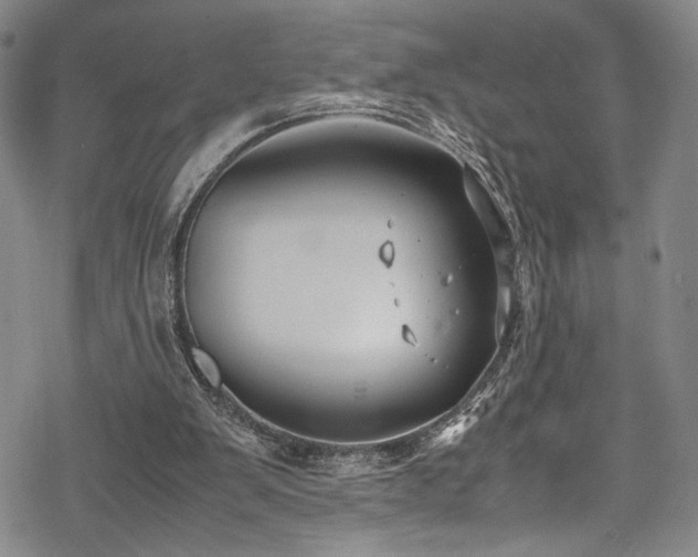 X0000069390103200605121221