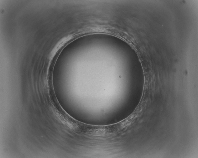 X0000069390104200605121221