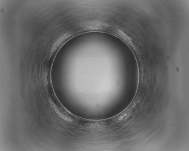 X0000069390106200605121221