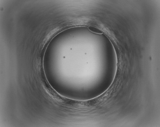 X0000069390107200605121221