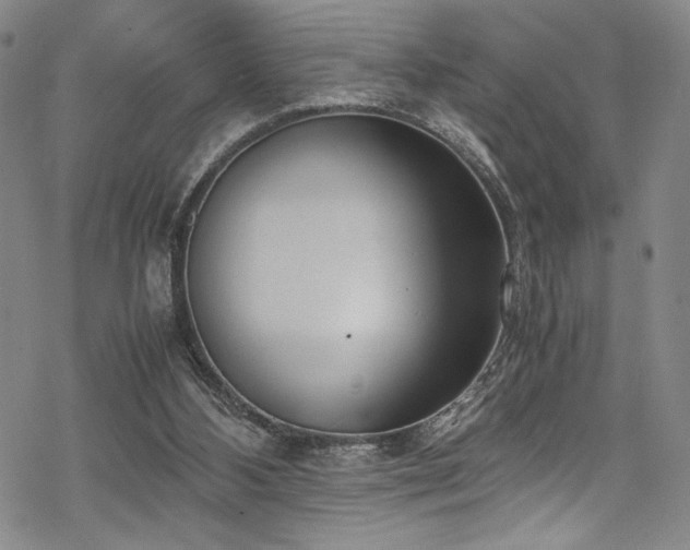 X0000069390108200605121221