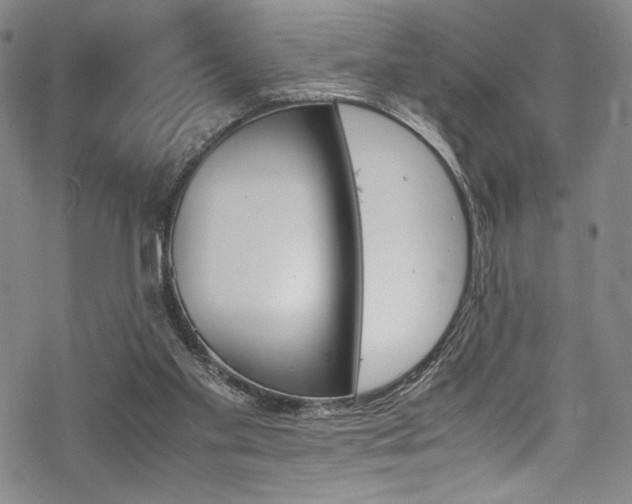 X0000069390109200605121221