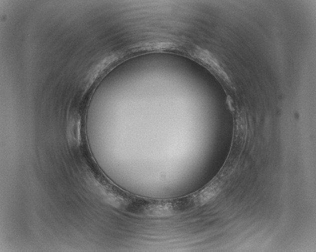 X0000069390110200605121221