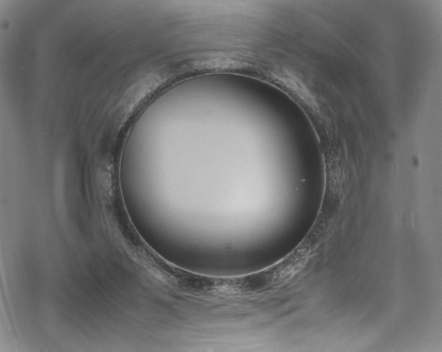 X0000069390111200605121221