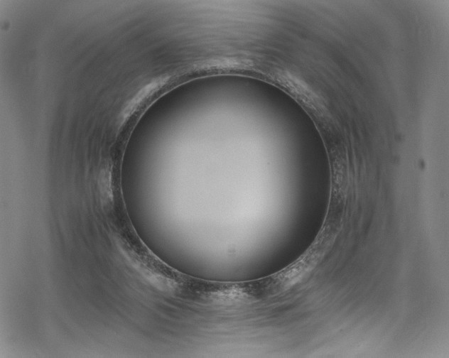 X0000069390112200605121221