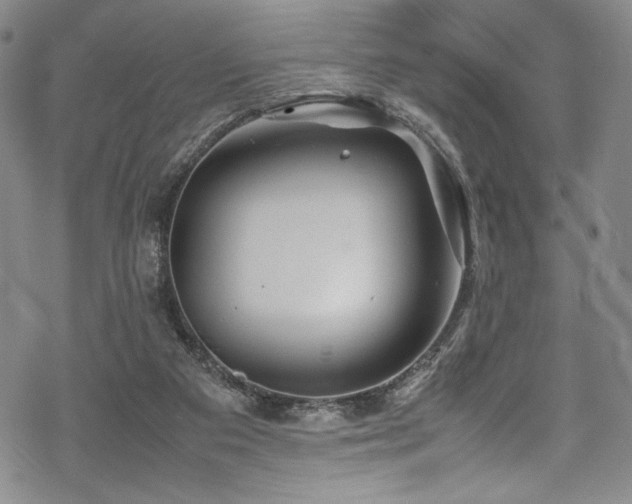 X0000069390113200605121221