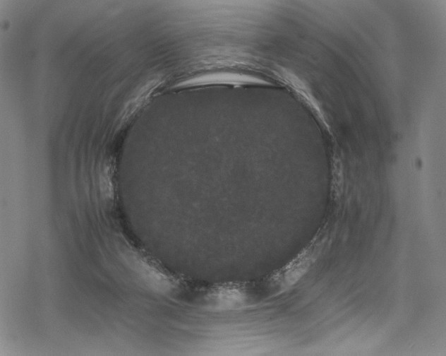 X0000069390114200605121221