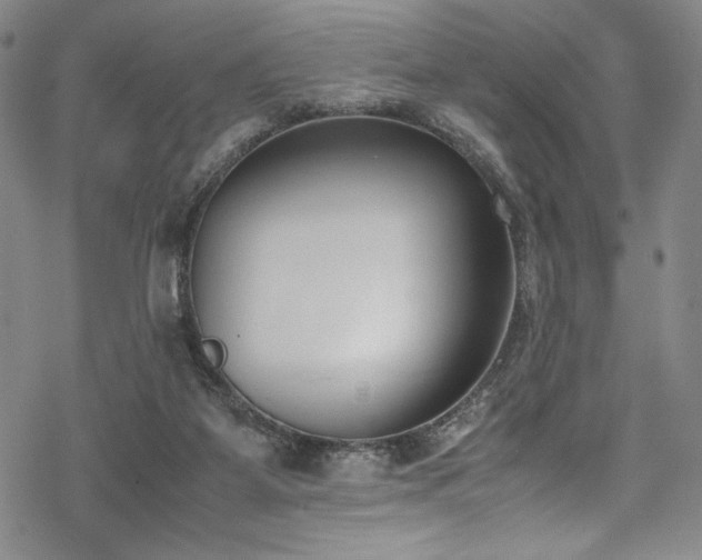 X0000069390115200605121221