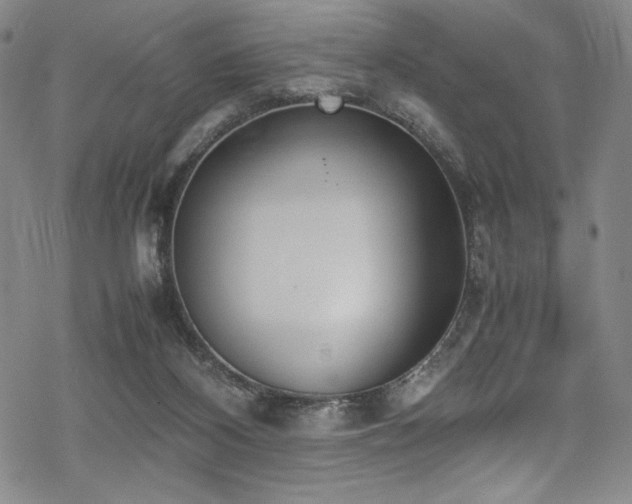 X0000069390116200605121221