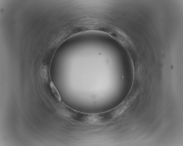 X0000069390121200605121221