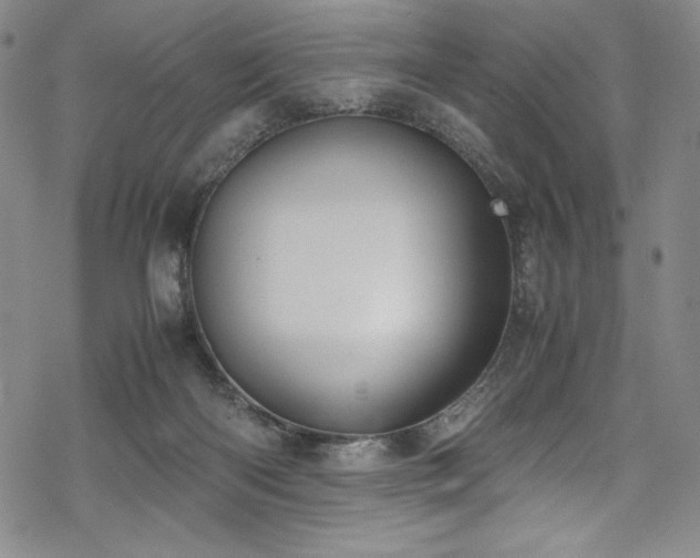 X0000069390122200605121221