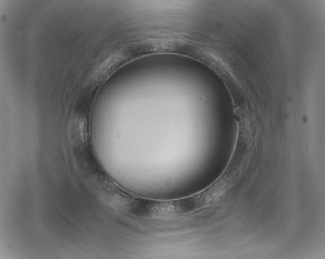 X0000069390123200605121221