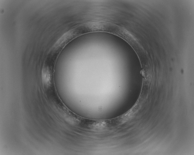 X0000069390124200605121221