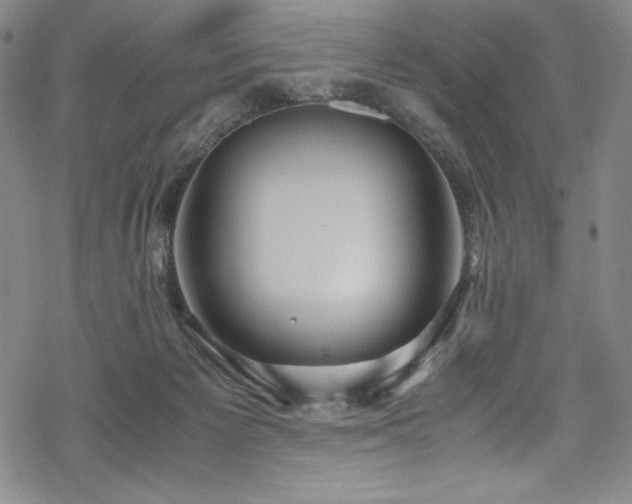 X0000069390125200605121221