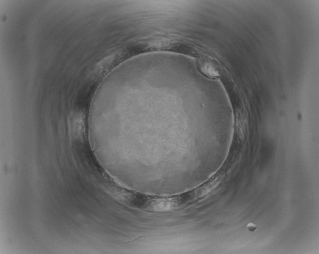 X0000069390127200605121221