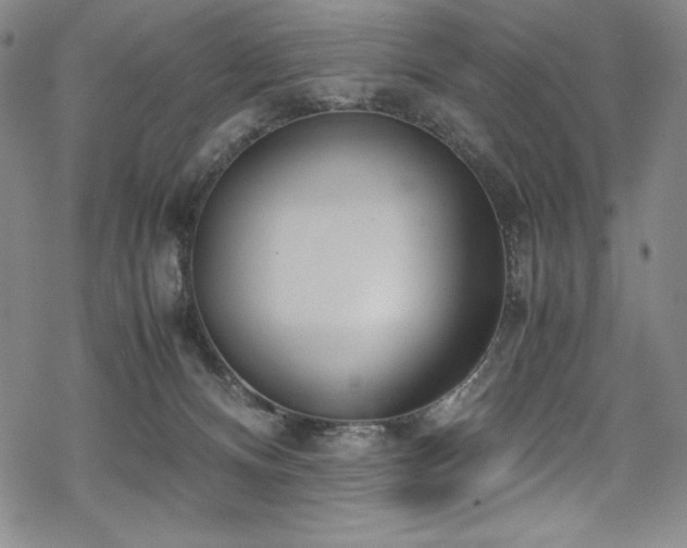 X0000069390128200605121221