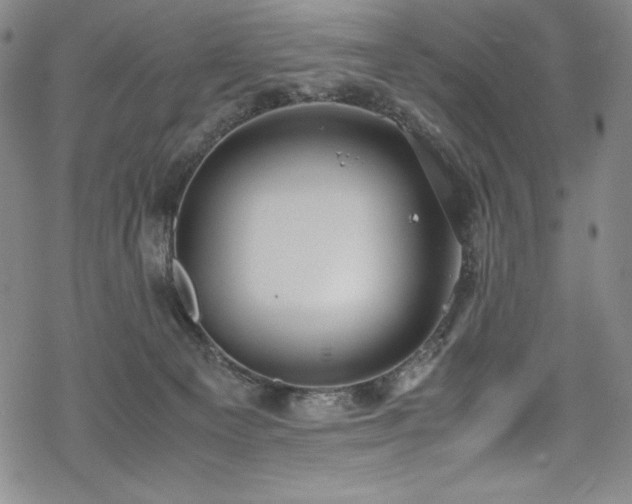 X0000069390129200605121221