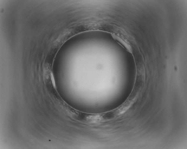 X0000069390133200605121221