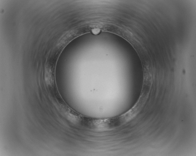 X0000069390136200605121221