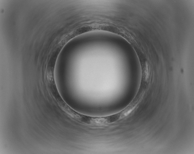 X0000069390137200605121221