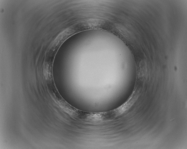 X0000069390140200605121221