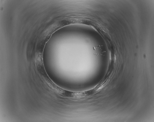 X0000069390141200605121220