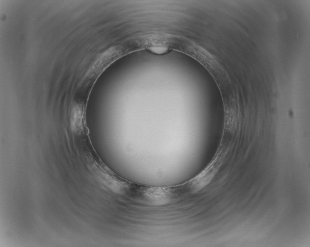 X0000069390142200605121220