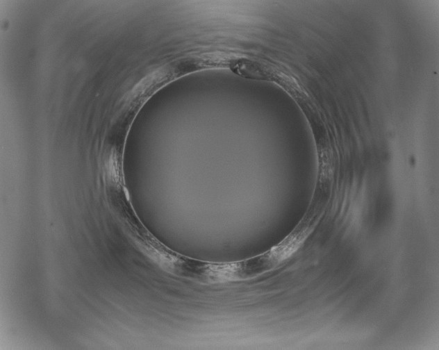 X0000069390143200605121220